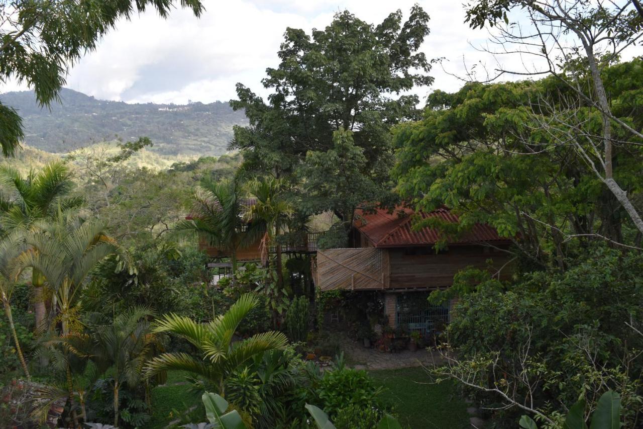 Chalets Huitaca Choachí Extérieur photo